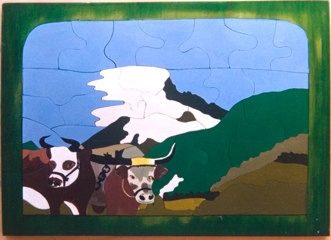 bullock team w: mt warning