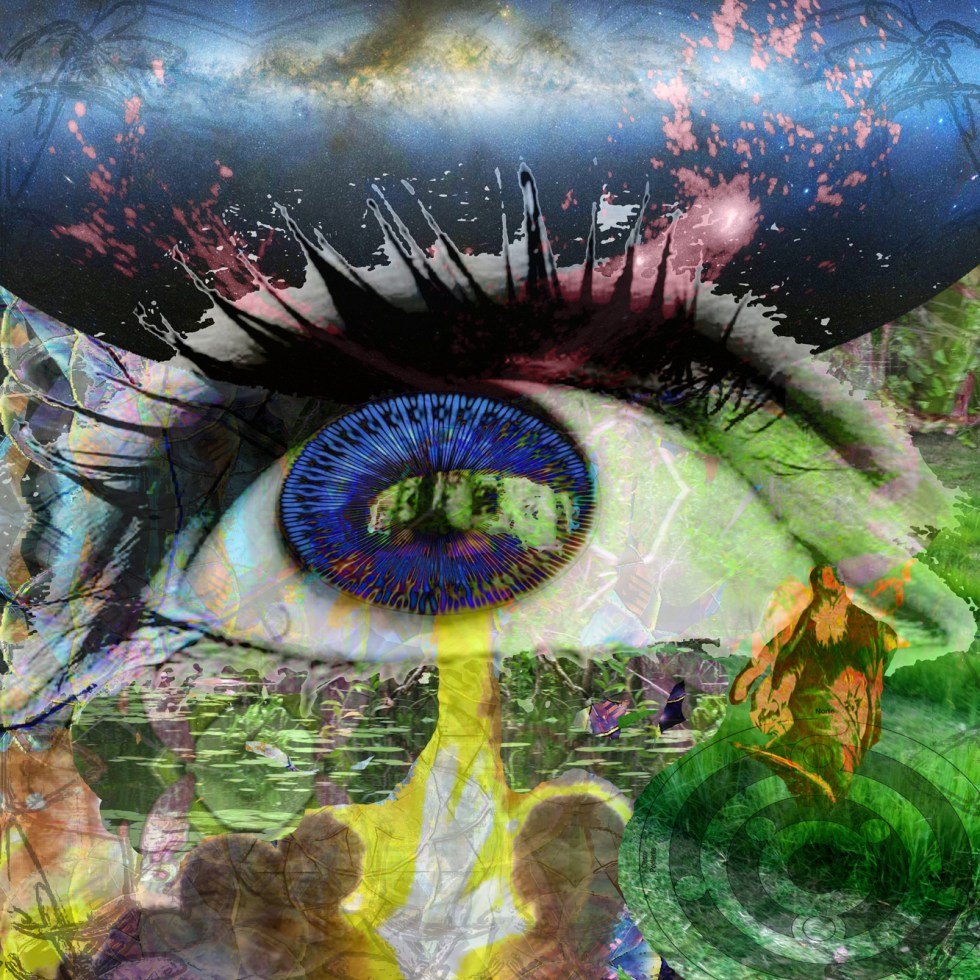 the Universe Looking at it's Self