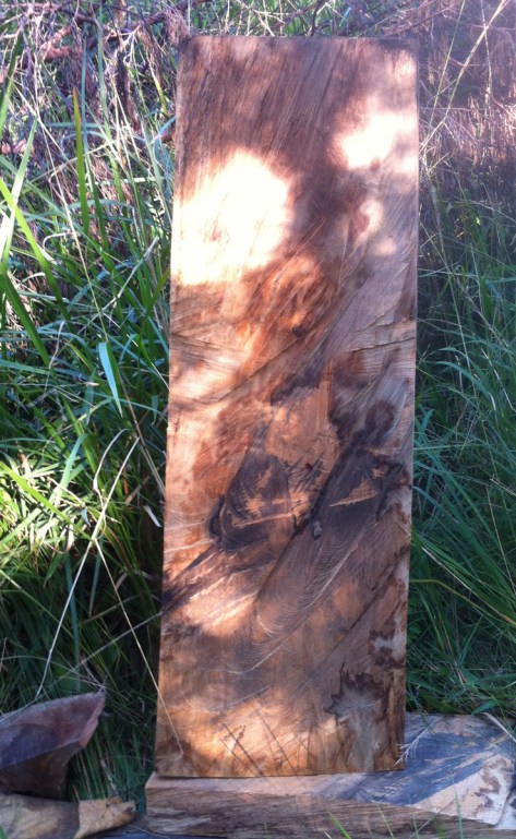 drawing with chainsaw and dapple 